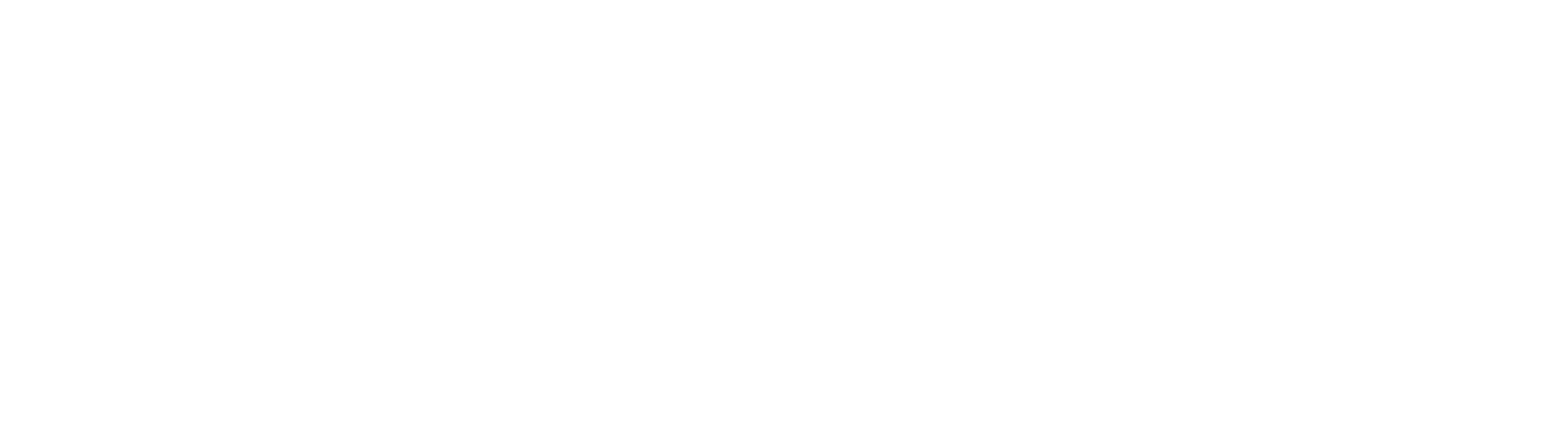 Bold Thirty Three Logo