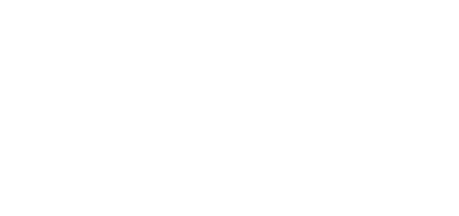 Bold Signature Homes